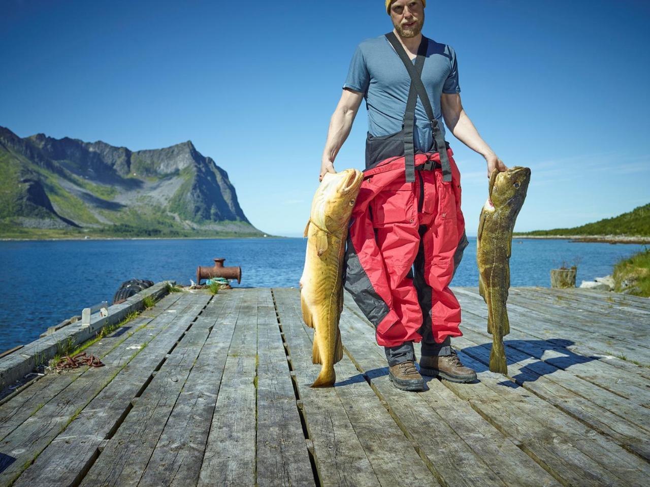 Northern Light Hotell/Camp Steinfjord Berg  Bagian luar foto