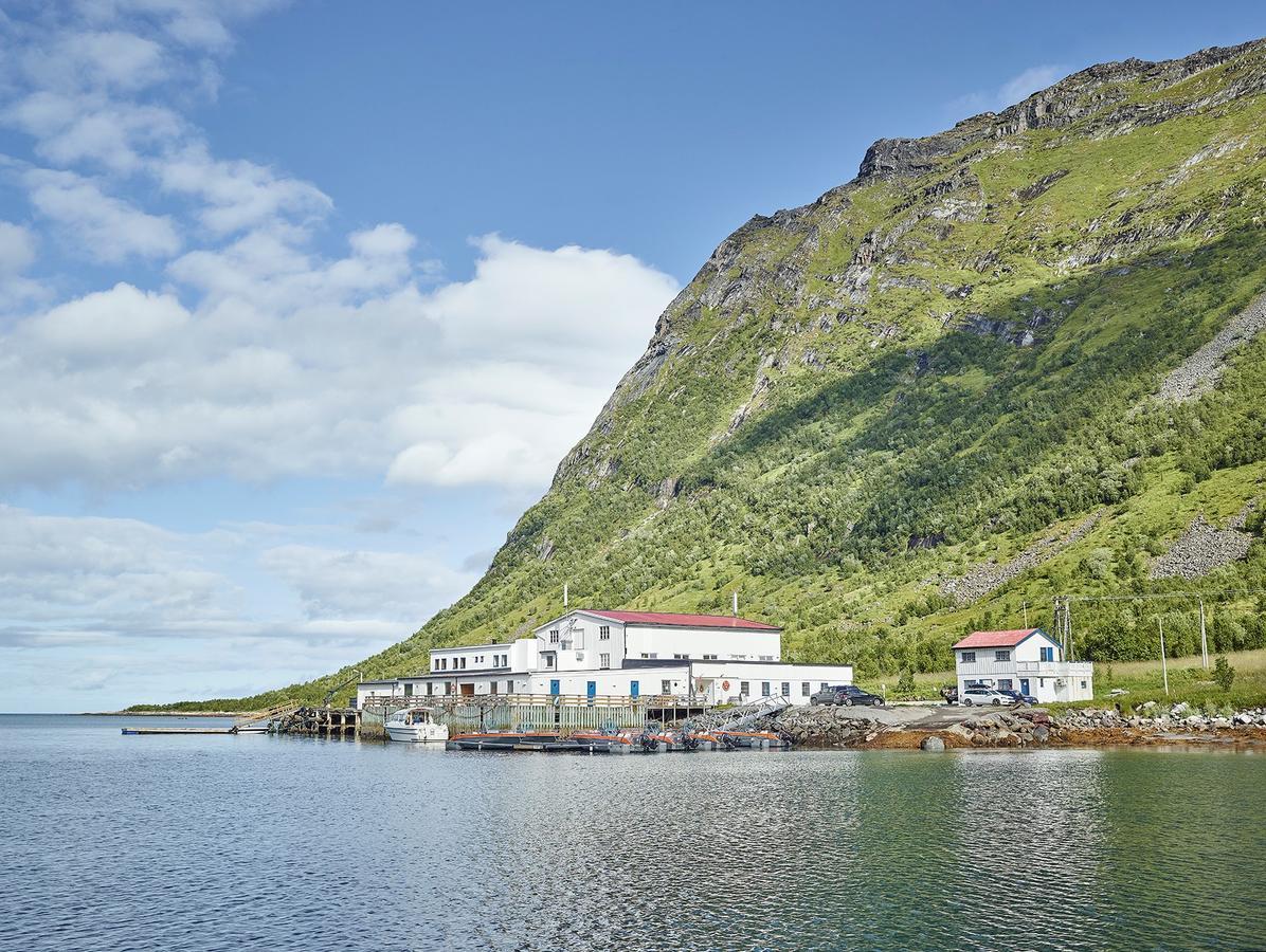 Northern Light Hotell/Camp Steinfjord Berg  Bagian luar foto