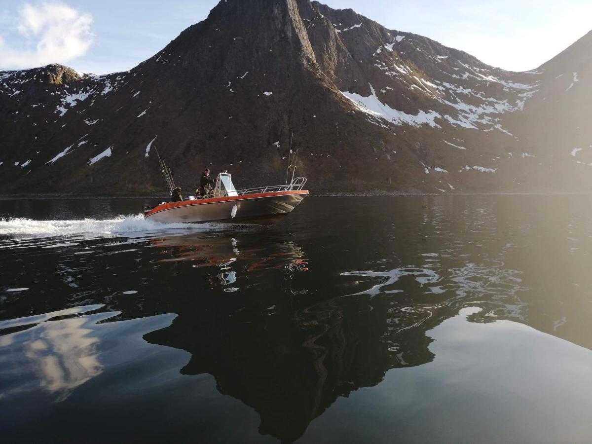 Northern Light Hotell/Camp Steinfjord Berg  Bagian luar foto