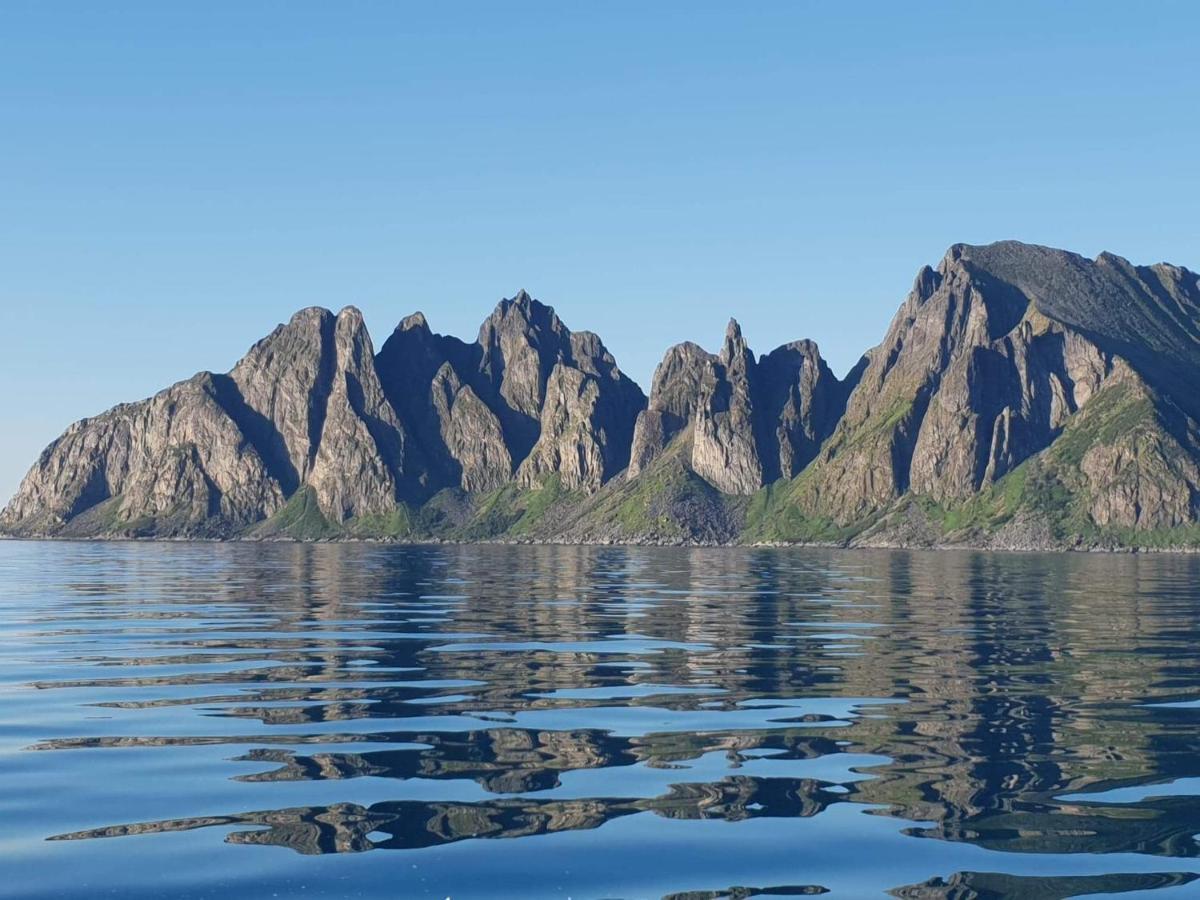 Northern Light Hotell/Camp Steinfjord Berg  Bagian luar foto