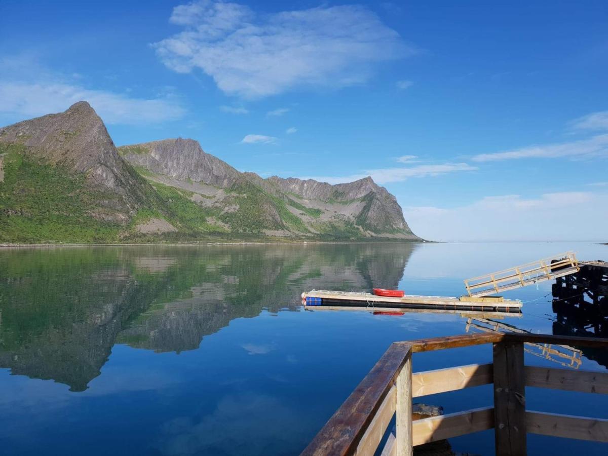 Northern Light Hotell/Camp Steinfjord Berg  Bagian luar foto