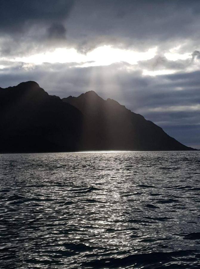Northern Light Hotell/Camp Steinfjord Berg  Bagian luar foto