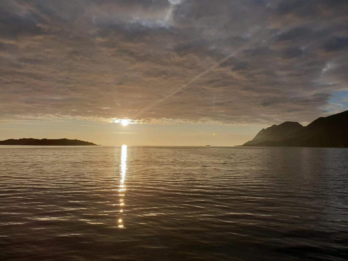 Northern Light Hotell/Camp Steinfjord Berg  Bagian luar foto